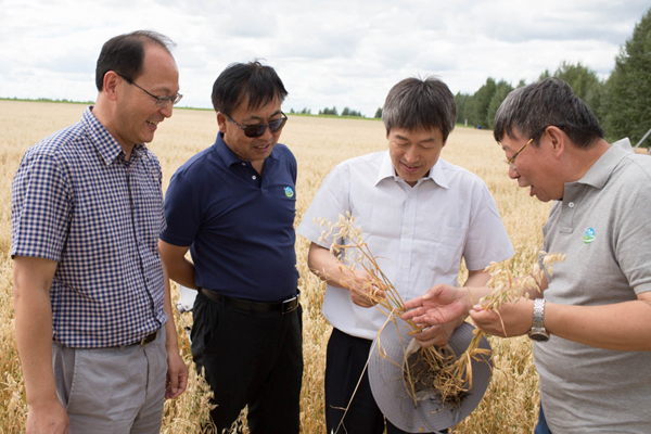 7月26日，呼伦贝尔农垦集团谢尔塔拉农场生态草牧业试验区的一处人工草地，中科院植物所所长、院士方精云（左三）在和专家交流高产燕麦的试种成果。新华社记者 金立旺 摄