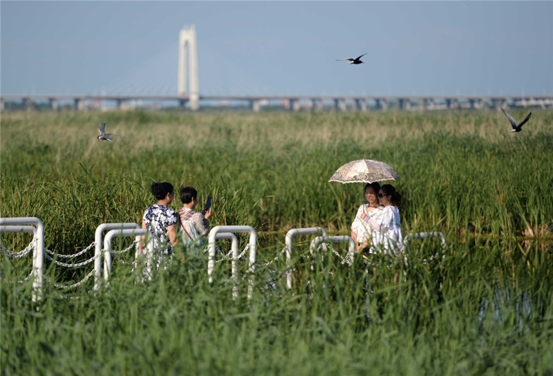 7月3日，游客在龙凤湿地自然保护区拍照留念。