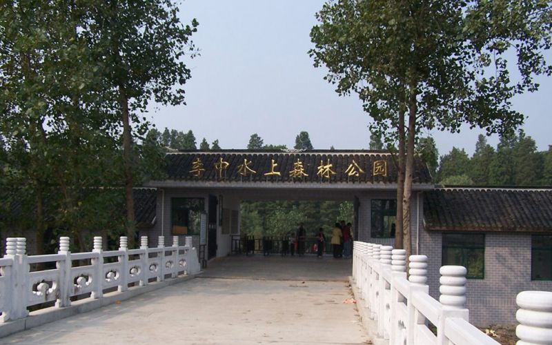 李中水上森林公园