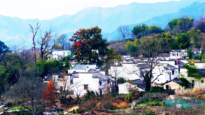 塔川秋景