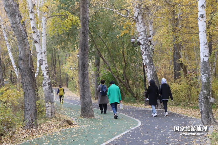 《新疆阿勒泰地区：江山如此多娇》游客在阿勒泰市桦林公园游玩