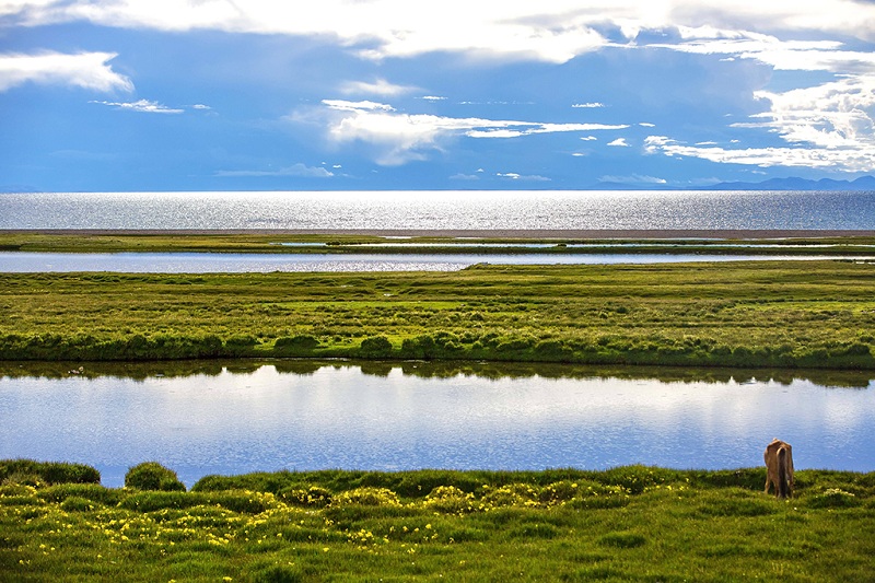 圣湖纳木措湿地美景