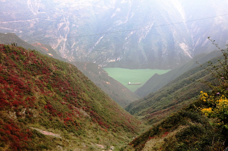 图7：巫峡两岸红叶初绽笑靥   唐探峰摄