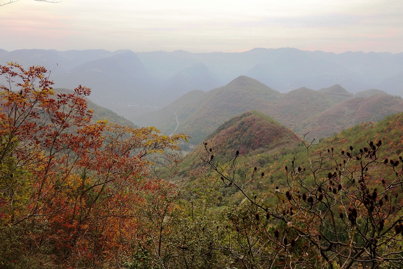 图4：大江南北“山似莲花艳”  唐探峰摄