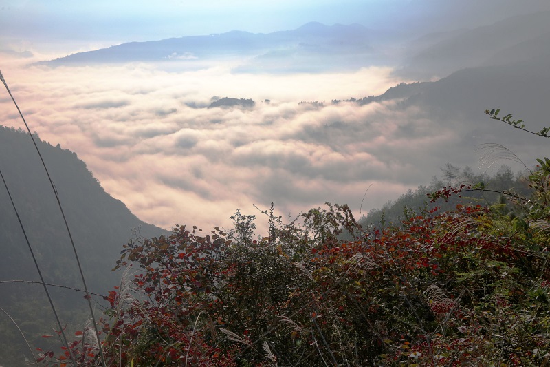 图3：云海恋彩霞   唐探峰摄