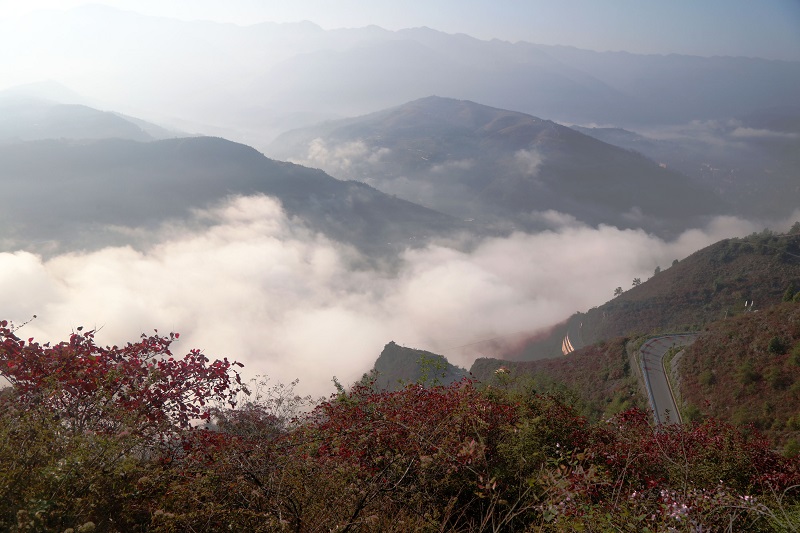 图6：白龙腾飞紫阳河   唐探峰摄