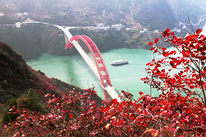 图9：游轮驶入巫峡神女景区赏红叶  唐探峰摄