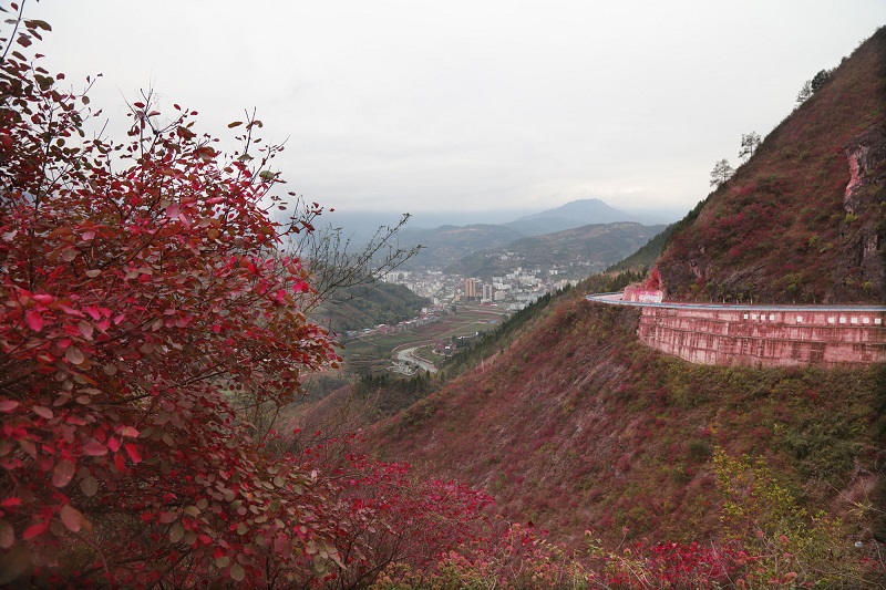 图2：红叶彩霞扮靓官渡镇成壮景   唐探峰摄于官渡紫阳台景区