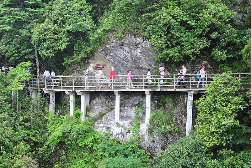 井冈山笔架山观光栈道上的游人