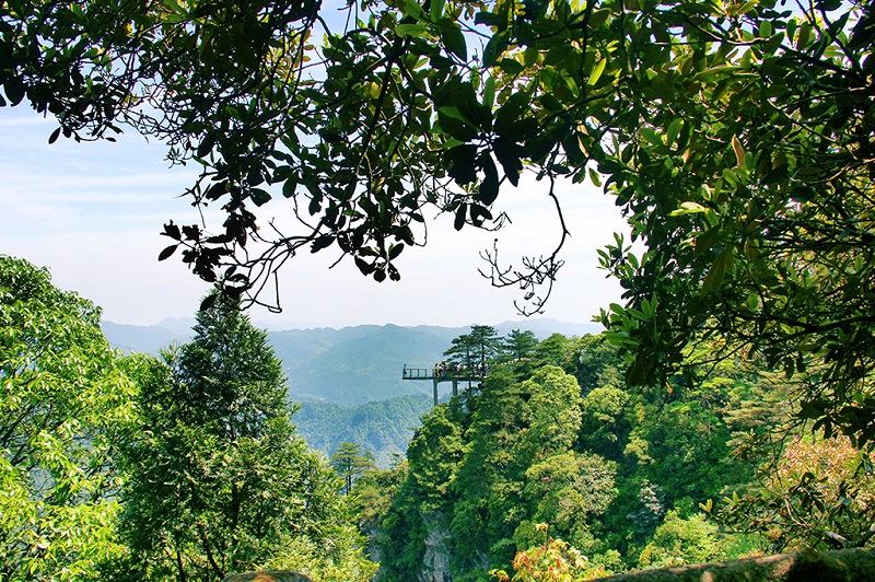绿色生态的井冈山美景