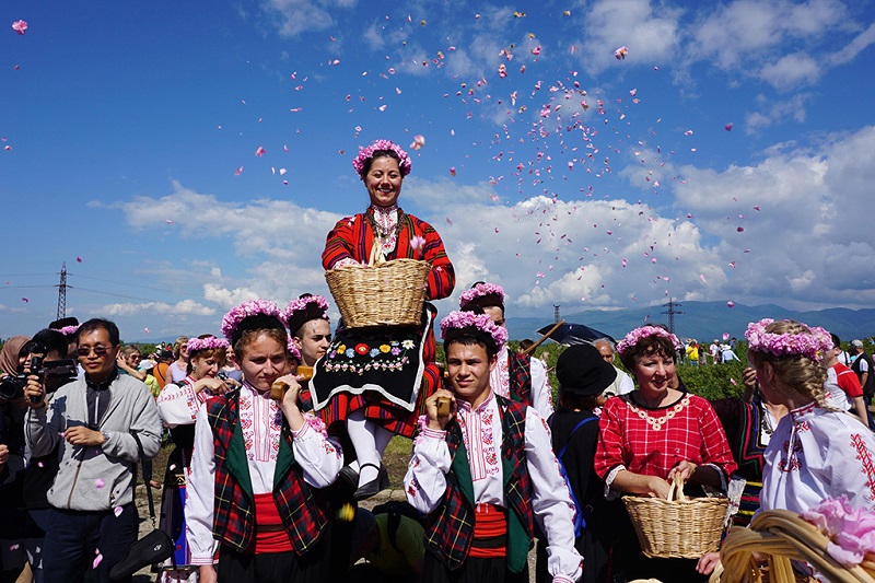 保加利亚浓郁花香玫瑰节