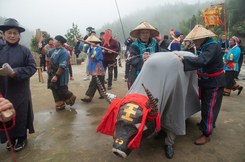 “崇义舞春牛”表演团队，乡土气息浓厚