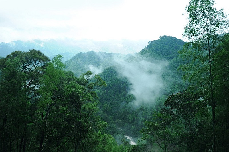 上杭梅花山仙境