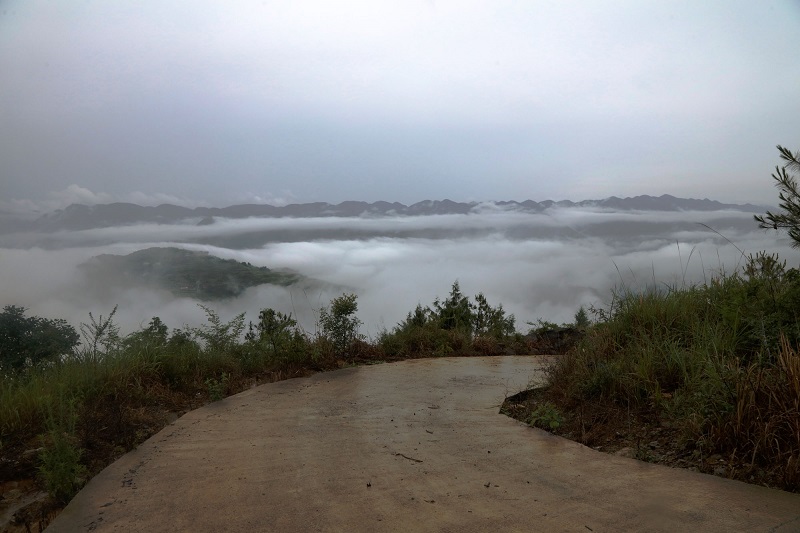 图9：云端天路。2021年7月8日，摄于巫山凤凰台。唐探峰