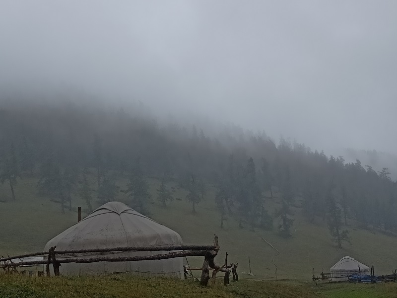 雨雾里毡房