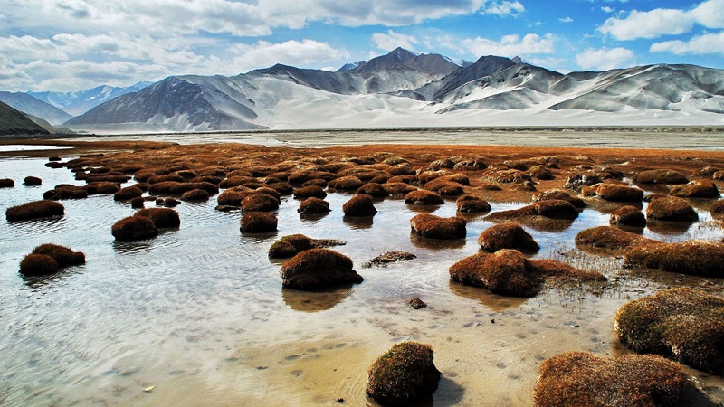 瓦罕走廊湿地美景