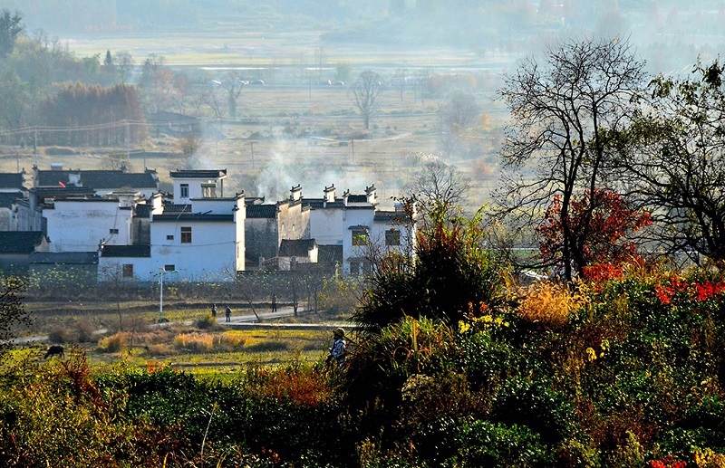 秋色斑澜的塔川美景