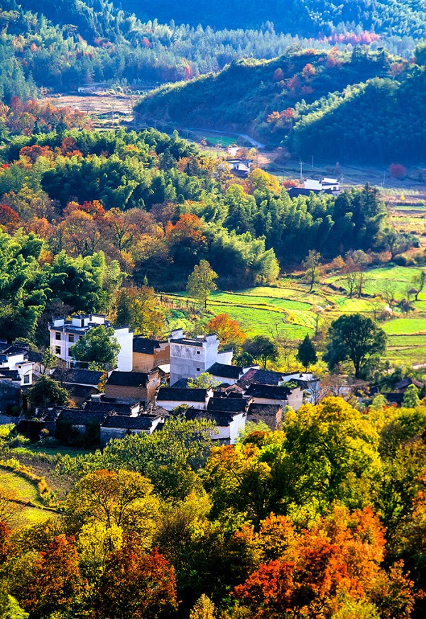 塔川又现秋色