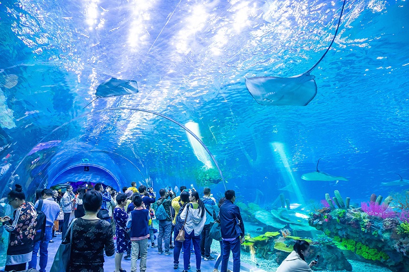 上海海昌海洋公园内