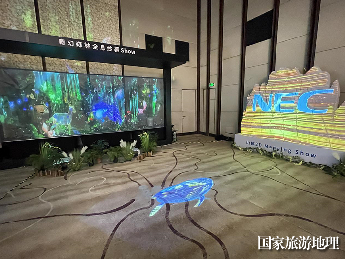 光遇新境 筑影同行｜2023年NEC工程投影机品鉴会山城绽放
