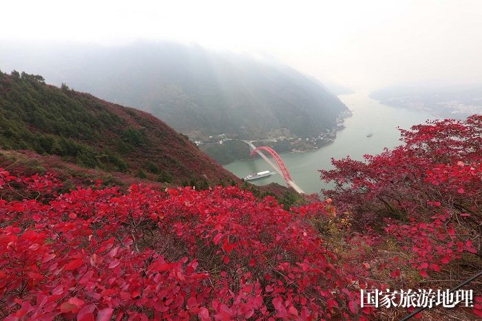 图6：中外嘉宾游客乘豪华游轮醉赏巫山红叶。2023年11月26日，摄于重庆巫峡西口。唐金生
