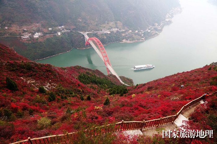 图8：三峡黄金水道游轮驶入巫山赏红叶。2023年11月26日，摄于重庆巫山长江段。唐金生