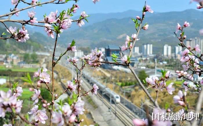 2024年3月19日，一列动车组列车在贵广高铁贵州省从江县洛香镇段附近行驶。 (23)